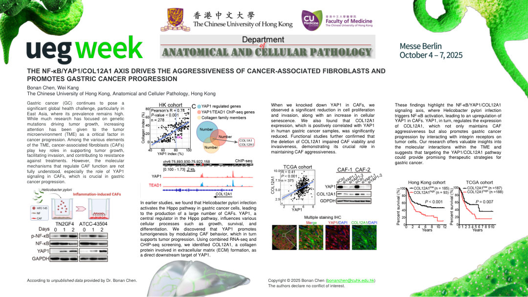 THE NF-ΚB/YAP1/COL12A1 AXIS DRIVES THE AGGRESSIVENESS OF CANCER-ASSOCIATED FIBROBLASTS AND PROMOTES GASTRIC CANCER PROGRESSION
