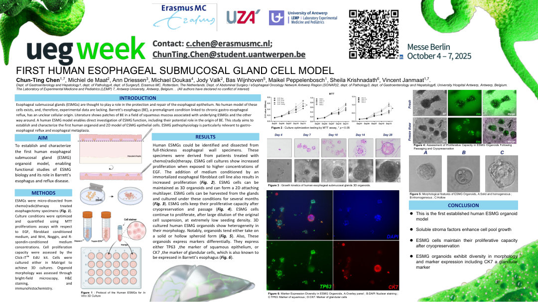 FIRST HUMAN ESOPHAGEAL SUBMUCOSAL GLAND CELL MODEL