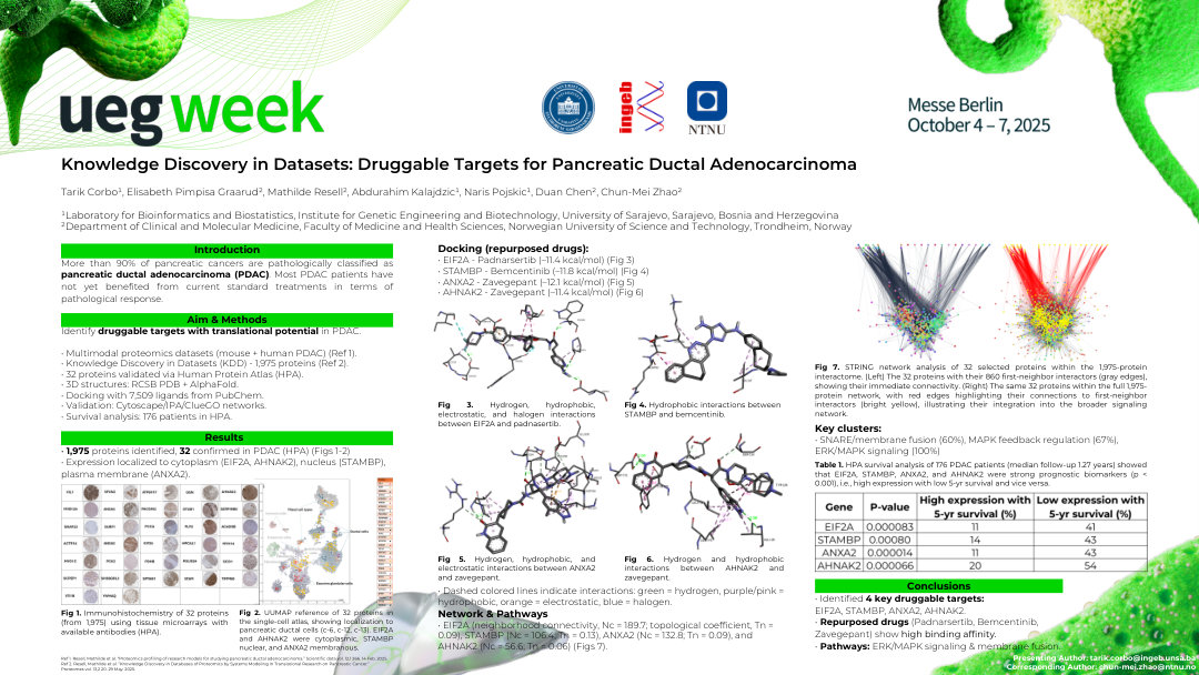 KNOWLEDGE DISCOVERY IN DATASETS: DRUGGABLE TARGETS FOR PANCREATIC DUCTAL ADENOCARCINOMA