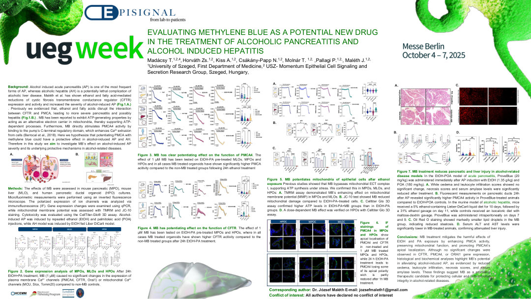 EVALUATING METHYLENE BLUE AS A POTENTIAL NEW DRUG IN THE TREATMENT OF ALCOHOLIC PANCREATITIS AND ALCOHOL INDUCED HEPATITIS