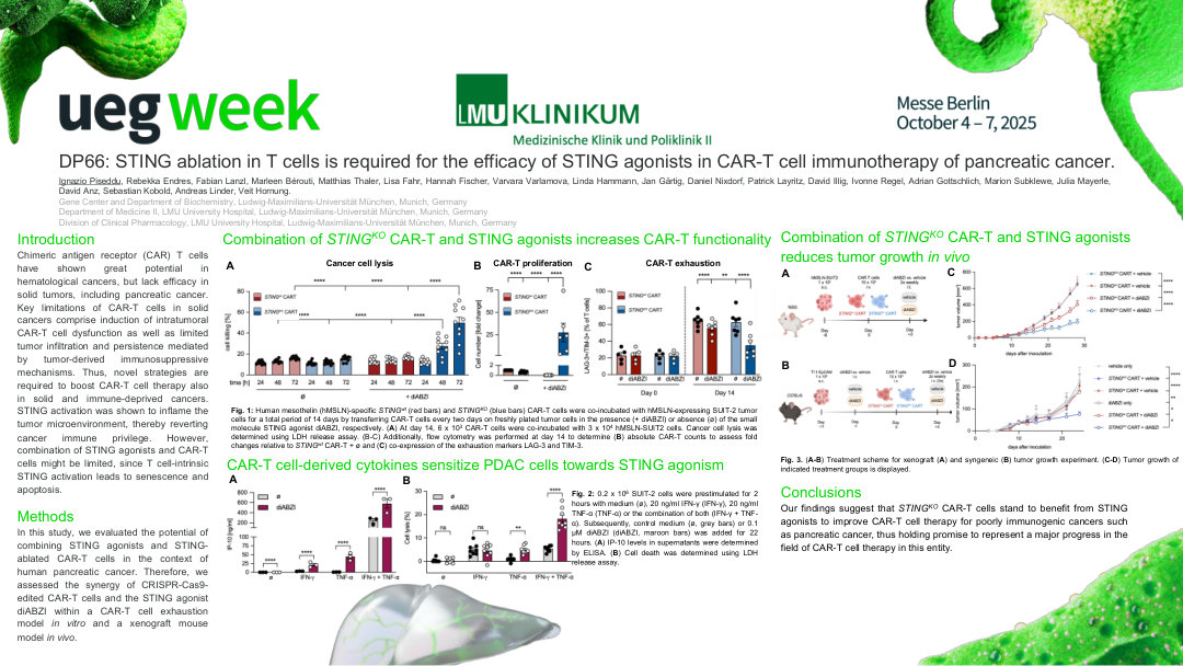 STING ABLATION IN T CELLS IS REQUIRED FOR THE EFFICACY OF STING AGONISTS IN CAR-T CELL IMMUNOTHERAPY OF PANCREATIC CANCER