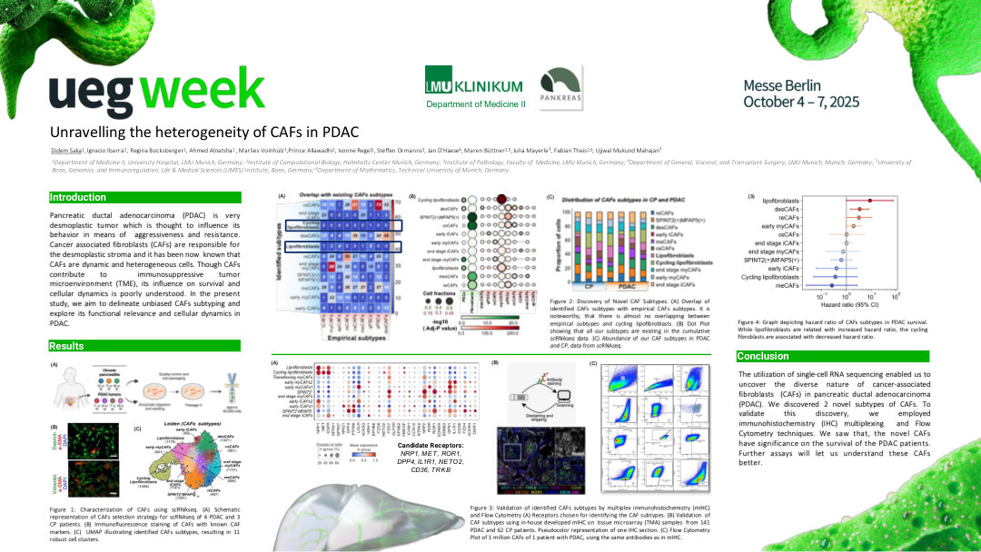 INFLUENCE OF CANCER ASSOCIATED FIBROBLASTS (CAFS) HETEROGENEITY ON SHAPING IMMUNOSUPPRESSIVE TUMOR MICROENVIRONMENT IN PDAC