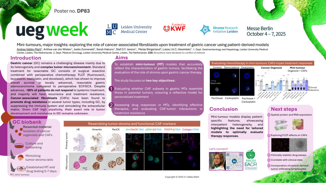 MINI-TUMOURS, MAJOR INSIGHTS: EXPLORING THE ROLE OF CANCER-ASSOCIATED FIBROBLASTS UPON TREATMENT OF GASTRIC CANCER USING PATIENT-DERIVED MODELS