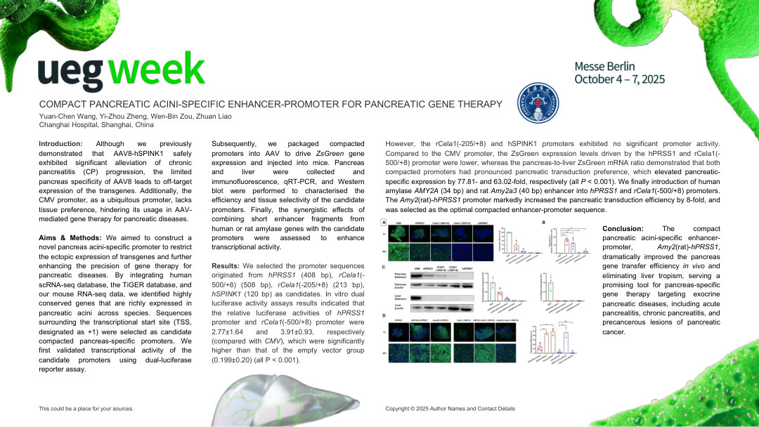 COMPACT PANCREATIC ACINI-SPECIFIC ENHANCER-PROMOTER FOR PANCREATIC GENE THERAPY