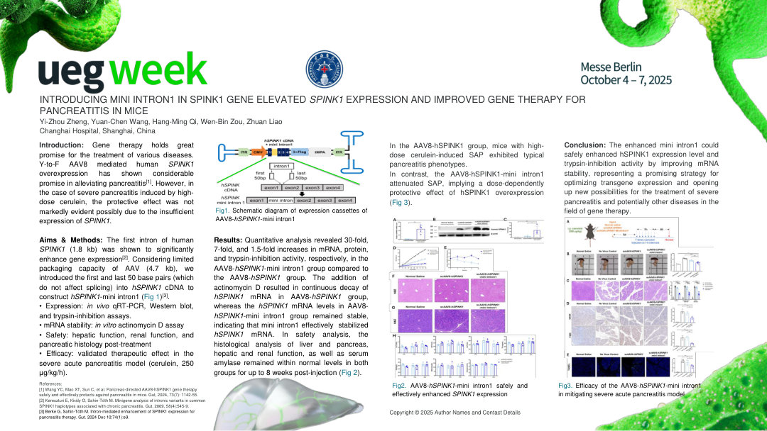 INTRODUCING ​​​​MINI INTRON1 IN SPINK1 GENE ELEVATED SPINK1 EXPRESSION AND IMPROVED GENE THERAPY FOR PANCREATITIS IN MICE