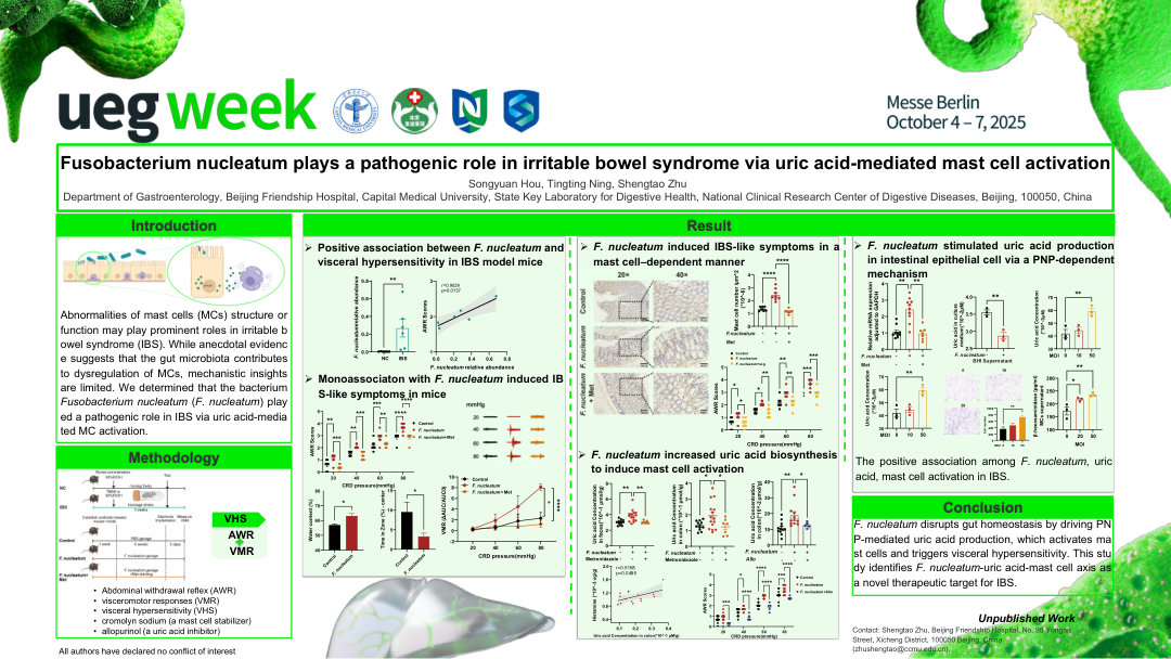 FUSOBACTERIUM NUCLEATUM PLAYS A PATHOGENIC ROLE IN IRRITABLE BOWEL SYNDROME VIA URIC ACID - MEDIATED MAST CELL ACTIVATION
