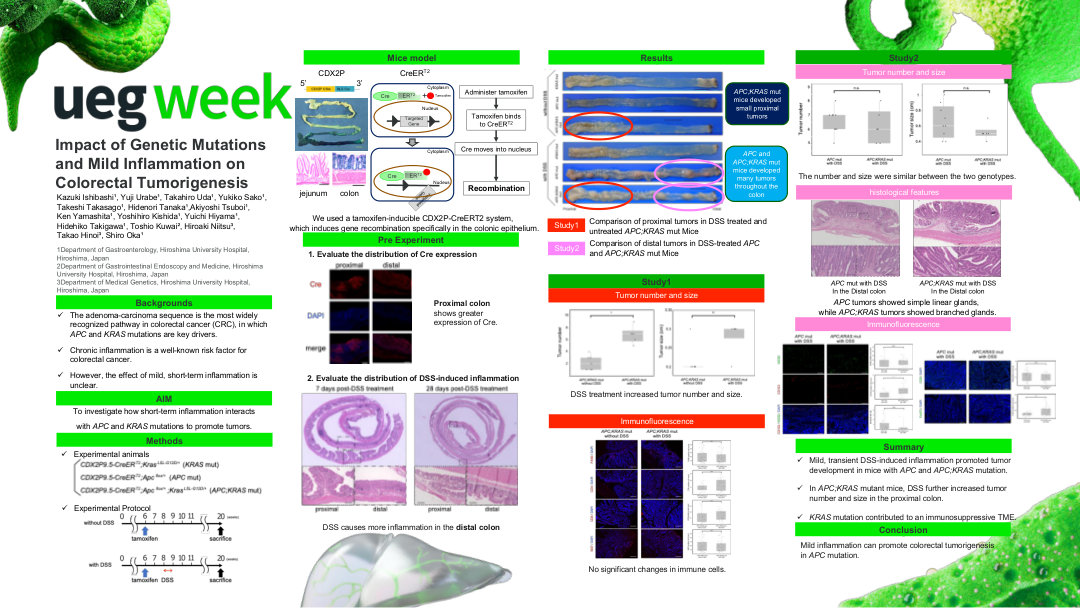 IMPACT OF GENETIC MUTATIONS AND MILD INFLAMMATION ON COLORECTAL TUMORIGENESIS
