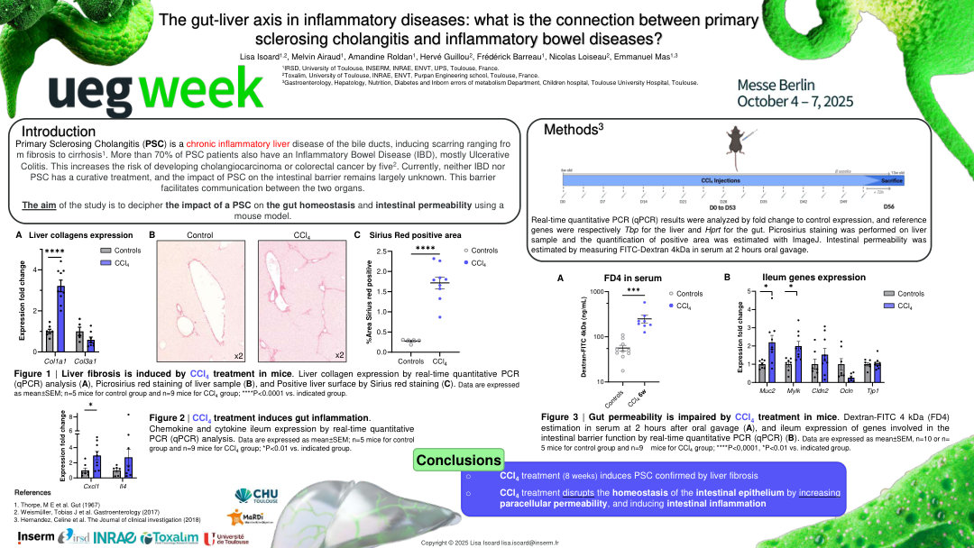 THE GUT-LIVER AXIS IN INFLAMMATORY DISEASES: WHAT IS THE CONNECTION BETWEEN PRIMARY SCLEROSING CHOLANGITIS AND INFLAMMATORY BOWEL DISEASES?