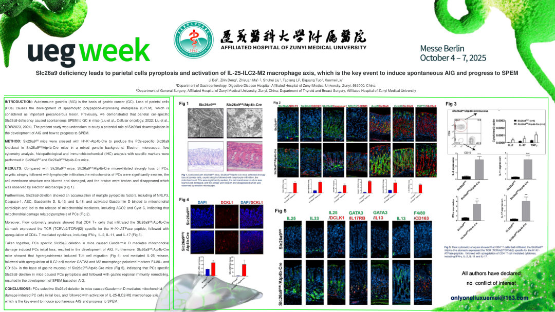 SLC26A9 DEFICIENCY LEADS TO PARIETAL CELLS PYROPTOSIS AND ACTIVATION OF IL-25-ILC2-M2 MACROPHAGE AXIS, WHICH IS THE KEY EVENT TO INDUCE SPONTANEOUS AIG AND PROGRESS TO SPEM