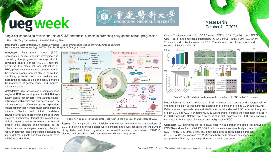 SINGLE-CELL SEQUENCING REVEALED THAT THE IL-33<SUP>+</SUP> ENDOTHELIAL CELL SUBSET PROMOTES THE PROGRESSION OF EARLY GASTRIC CANCER