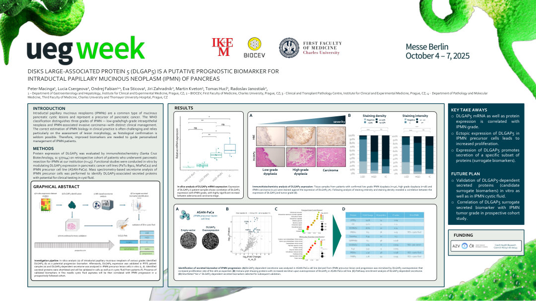 DISKS LARGE-ASSOCIATED PROTEIN 5 (DLGAP5) IS A PUTATIVE PROGNOSTIC BIOMARKER FOR INTRADUCTAL PAPILLARY MUCINOUS NEOPLASM (IPMN) OF PANCREAS