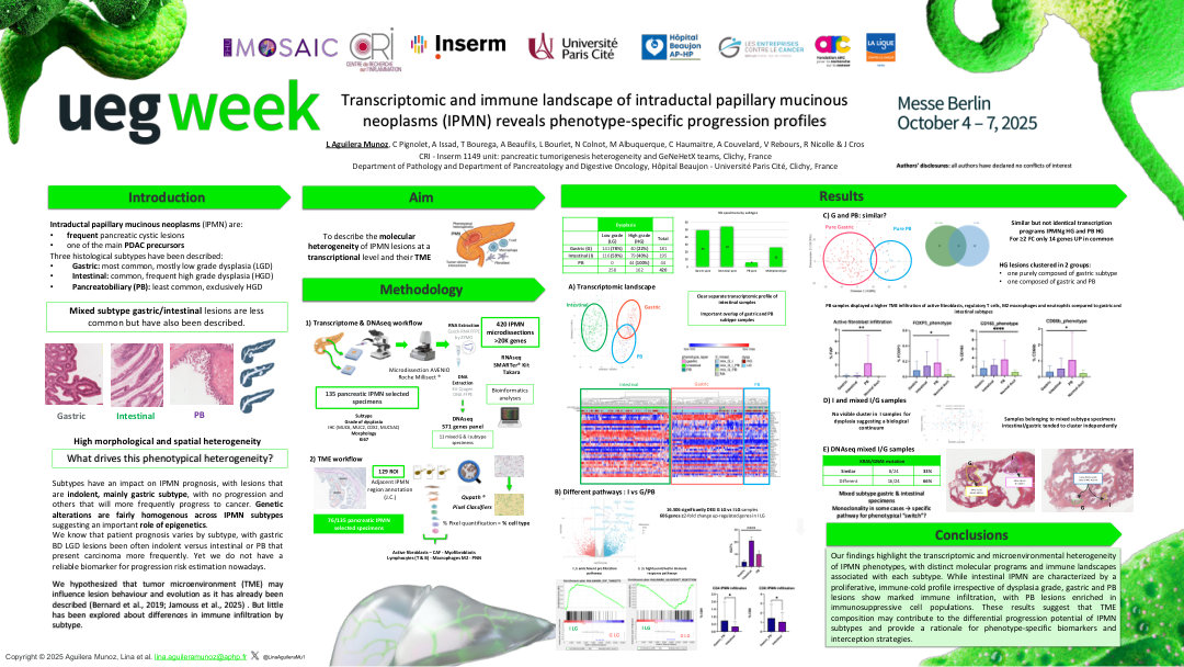 TRANSCRIPTOMIC AND IMMUNE LANDSCAPE OF INTRADUCTAL PAPILLARY MUCINOUS NEOPLASMS REVEALS PHENOTYPE-SPECIFIC PROGRESSION PROFILES