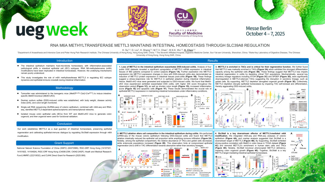 RNA M6A METHYLTRANSFERASE METTL3 MAINTAINS INTESTINAL HOMEOSTASIS THROUGH SLC39A8 REGULATION