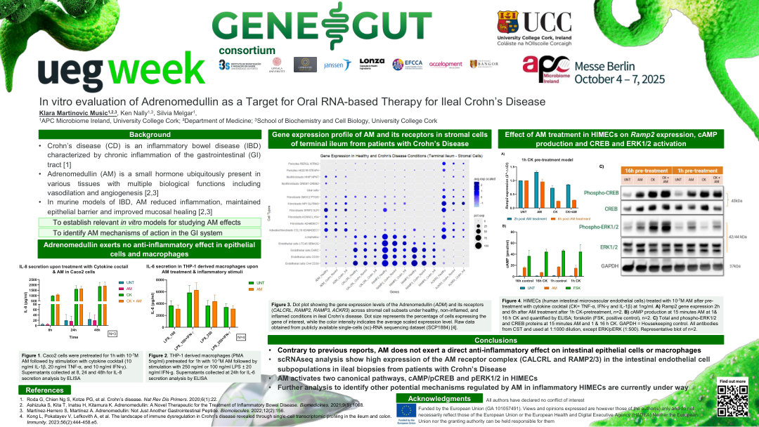 IN VITRO EVALUATION OF ADRENOMEDULLIN AS A TARGET FOR ORAL RNA-BASED THERAPY FOR ILEAL CROHN’S DISEASE
