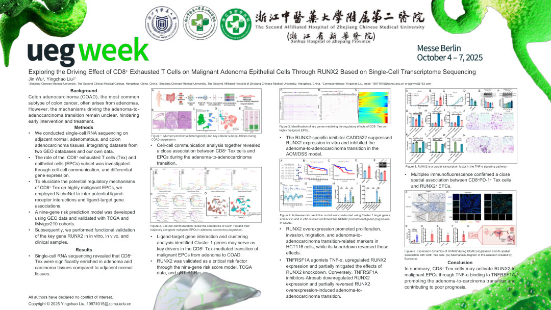 EXPLORING THE DRIVING EFFECT OF CD8+ EXHAUSTED T CELLS ON MALIGNANT ADENOMA EPITHELIAL CELLS THROUGH RUNX2 BASED ON SINGLE-CELL TRANSCRIPTOME SEQUENCING