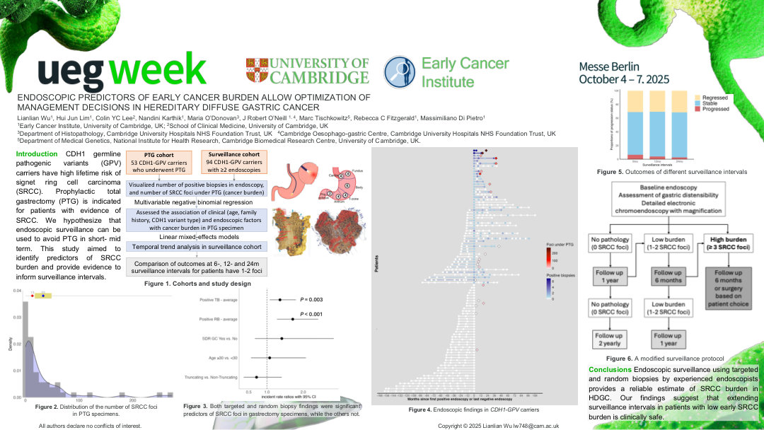 ENDOSCOPIC PREDICTORS OF EARLY CANCER BURDEN ALLOW OPTIMIZATION OF MANAGEMENT DECISIONS IN HEREDITARY DIFFUSE GASTRIC CANCER