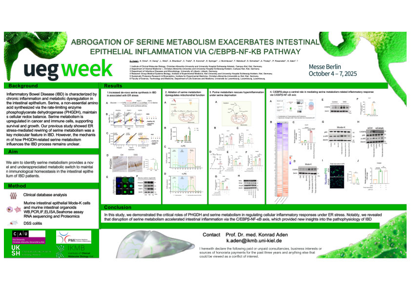 ABROGATION OF SERINE METABOLISM EXACERBATES INTESTINAL EPITHELIAL INFLAMMATION VIA C/EBPΒ-NF-ΚB PATHWAY