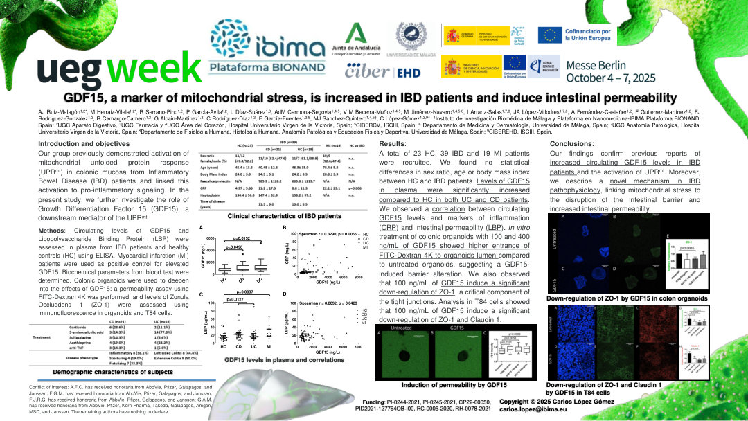 GDF15, A MARKER OF MITOCHONDRIAL STRESS, IS INCREASED IN IBD PATIENTS AND INDUCE INTESTINAL PERMEABILITY