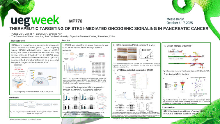 THERAPEUTIC TARGETING OF STK31-MEDIATED ONCOGENIC SIGNALING IN PANCREATIC CANCER