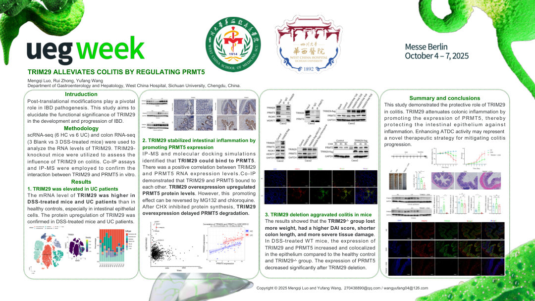 ATDC ALLEVIATES IMMUNE RESPONSE IN COLITIS BY DEGRADING PRMT5