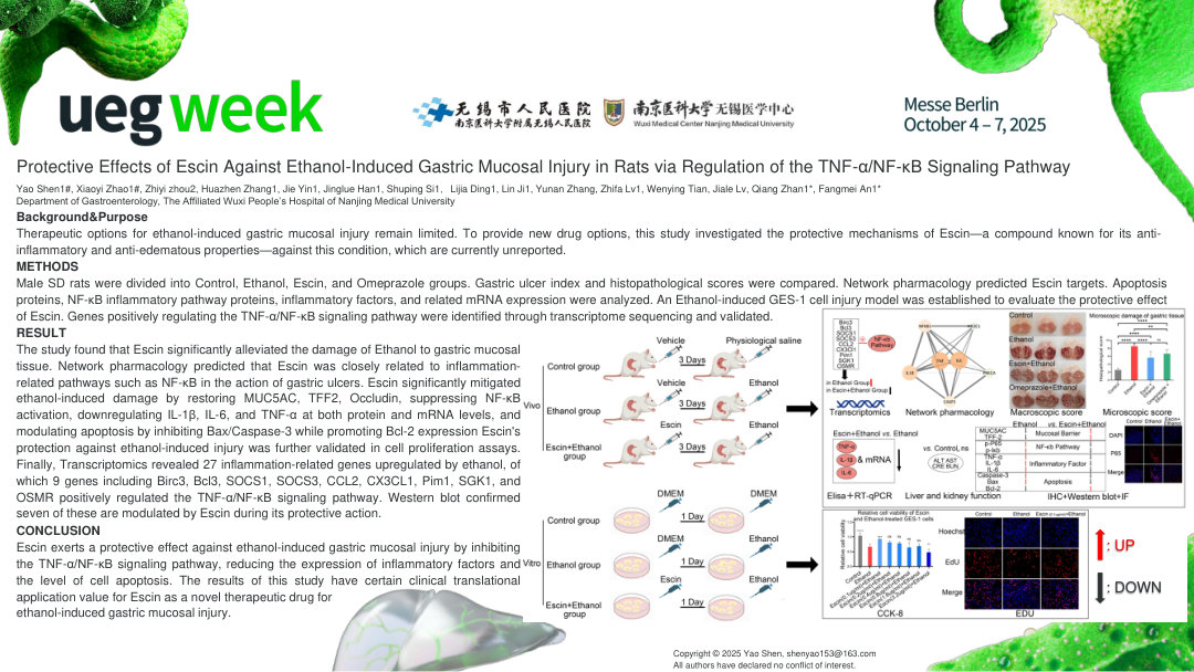 THE PROTECTIVE EFFECT AND MECHANISM OF ESCIN ON ETHANOL-INDUCED GASTRIC MUCOSAL INJURY IN RATS