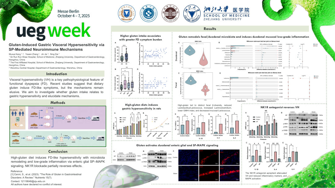 GLUTEN-INDUCED GASTRIC VISCERAL HYPERSENSITIVITY VIA SP-MEDIATED NEUROIMMUNE MECHANISMS: INSIGHTS FROM CLINICAL AND ANIMAL STUDIES IN FUNCTIONAL DYSPEPSIA