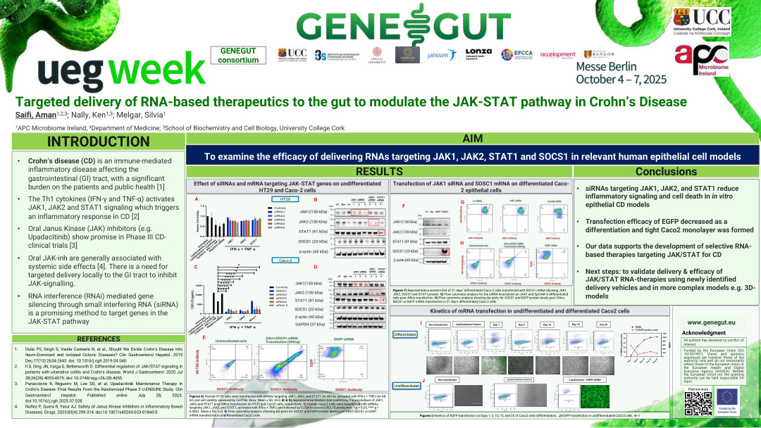 TARGETED DELIVERY OF RNA-BASED THERAPEUTICS TO THE GUT TO MODULATE THE JAK-STAT PATHWAY IN CROHN’S DISEASE