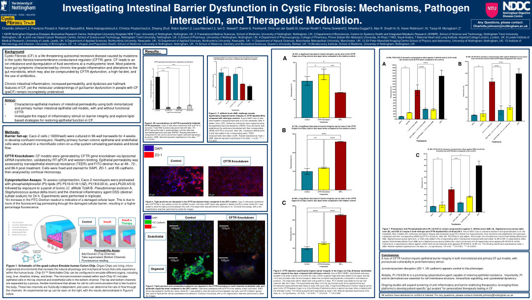 INVESTIGATING INTESTINAL BARRIER DYSFUNCTION IN CYSTIC FIBROSIS: MECHANISMS, PATHOGEN INTERACTION, AND THERAPEUTIC MODULATION