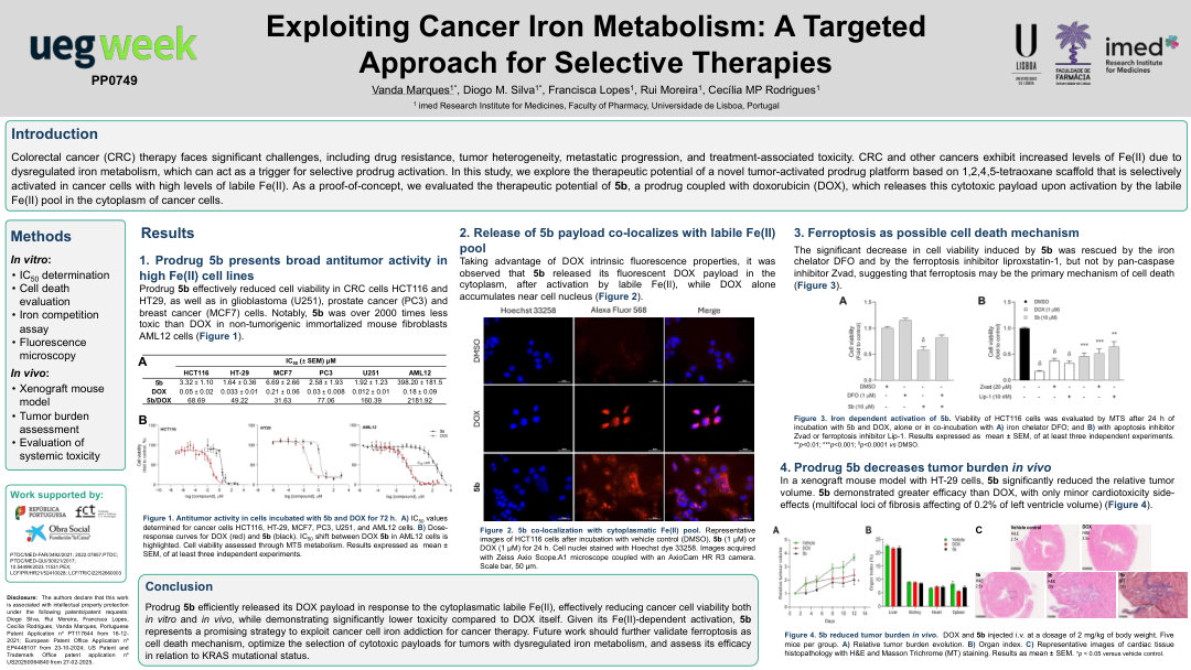 EXPLOITING CANCER IRON METABOLISM: A TARGETED APPROACH FOR SELECTIVE THERAPIES
