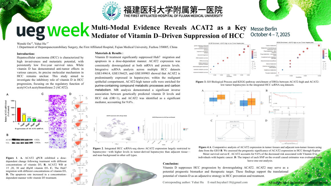 MULTI-MODAL EVIDENCE REVEALS ACAT2 AS A KEY MEDIATOR OF VITAMIN D–DRIVEN SUPPRESSION OF HCC