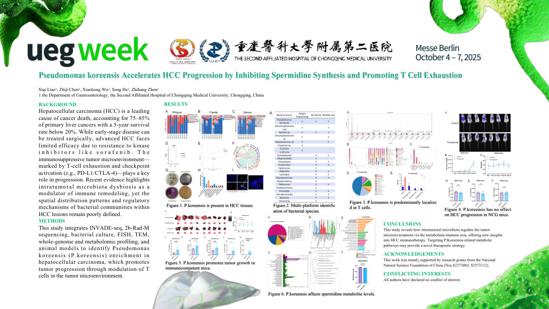PSEUDOMONAS KOREENSIS ACCELERATES HCC PROGRESSION BY INHIBITING SPERMIDINE SYNTHESIS AND PROMOTING T CELL EXHAUSTION
