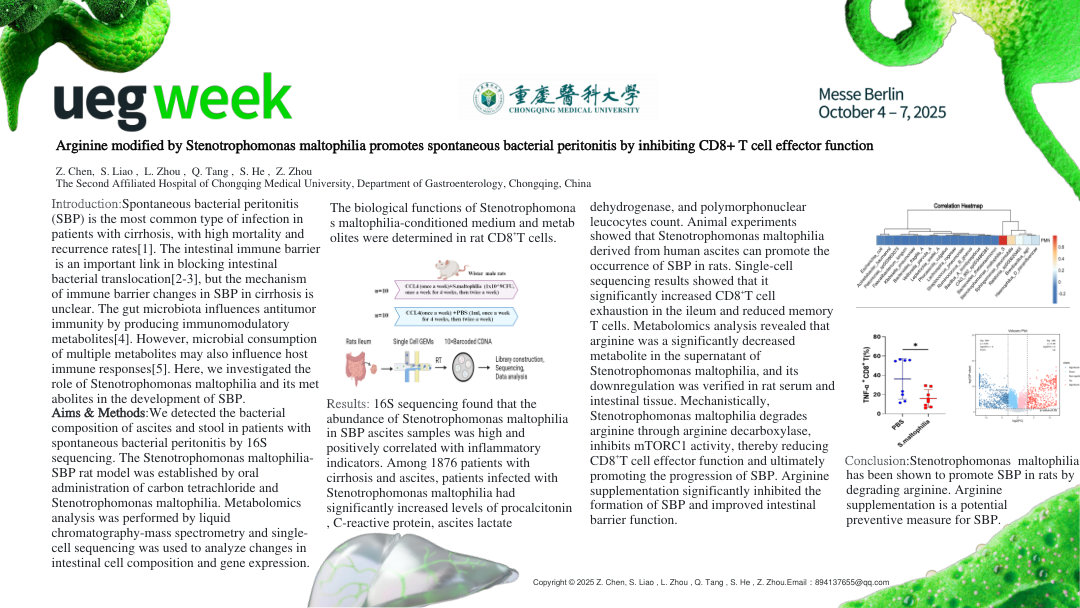 ARGININE MODIFIED BY STENOTROPHOMONAS MALTOPHILIA PROMOTES SPONTANEOUS BACTERIAL PERITONITIS BY INHIBITING CD8<SUP >+</SUP> T CELL EFFECTOR FUNCTION