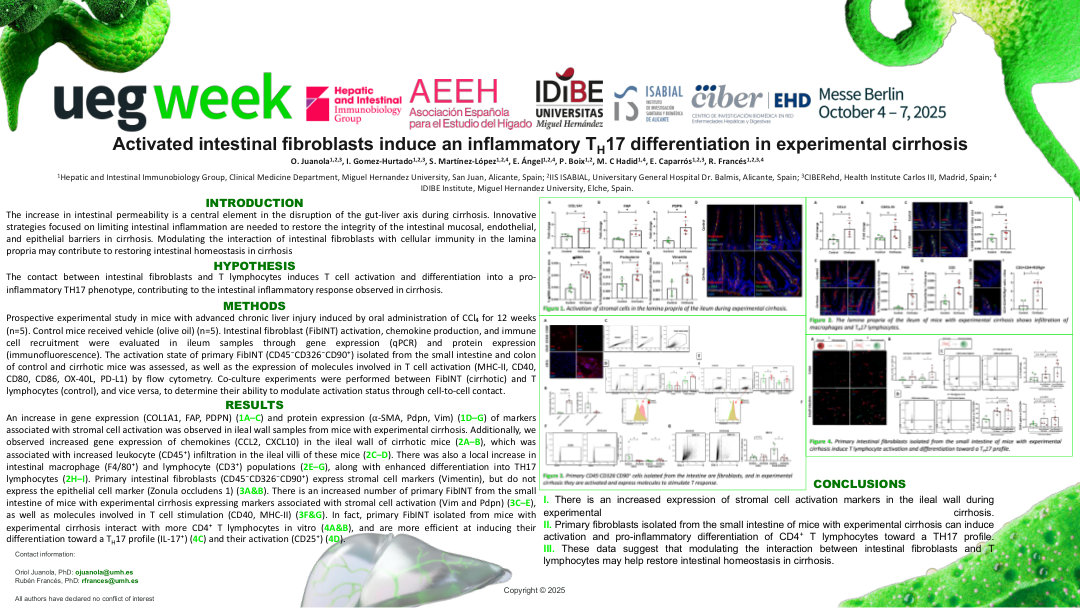 ACTIVATED INTESTINAL FIBROBLASTS INDUCE INFLAMMATORY TH17 DIFFERENTIATION IN EXPERIMENTAL CIRRHOSIS