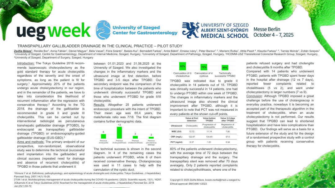 TRANSPAPILLARY GALBLADDER DRAINAGE IN THE CLINICAL PRACTICE – PILOT STUDY